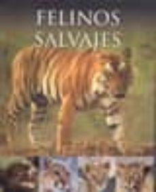 (pe) Felinos Salvajes