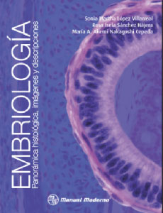 Embriologia. Panoramica Historica, Imagenes Y Descripciones