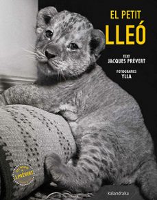 El Petit Lleó