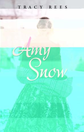 Libro Amy Snow en PDF