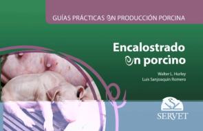 Guías Prácticas En Producción Porcina. Encalostrado En Porcino