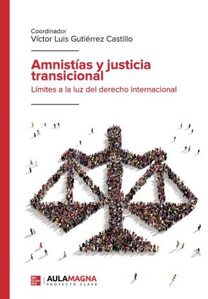 Libro Amnistías Y Justicia Transicional en PDF