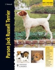 Parson Jack Russell Terrier