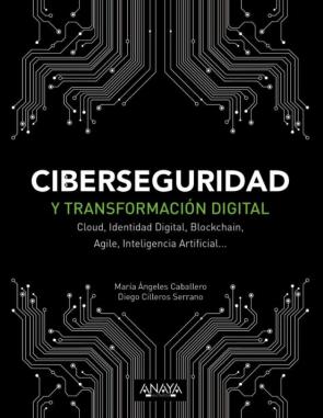 Ciberseguridad Y Transformación Digital