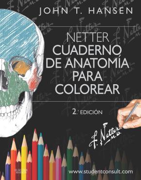Hansen, Netter. Cuaderno De Anatomia Para Colorear  (2ª Ed.)