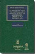 Sociedades Anonimas Y Responsabilidad Limitada Legislacion Concor Dada Jurisprudencia Y Bibliografia