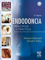 Endodoncia: Principios Y Practica (4ª Ed.) (incluye Dvd)