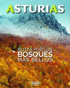 Libro Asturias. Rutas Por Los Bosques Mas Bellos en PDF