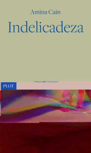 Indelicadeza
