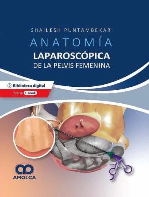 Anatomia Laparoscopica De La Pelvis Femenina. Principios Quirurgicos Aplicados