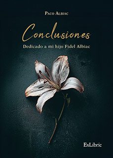 (i.b.d.) Conclusiones. Dedicado A Mi Hijo Fidel Albiac