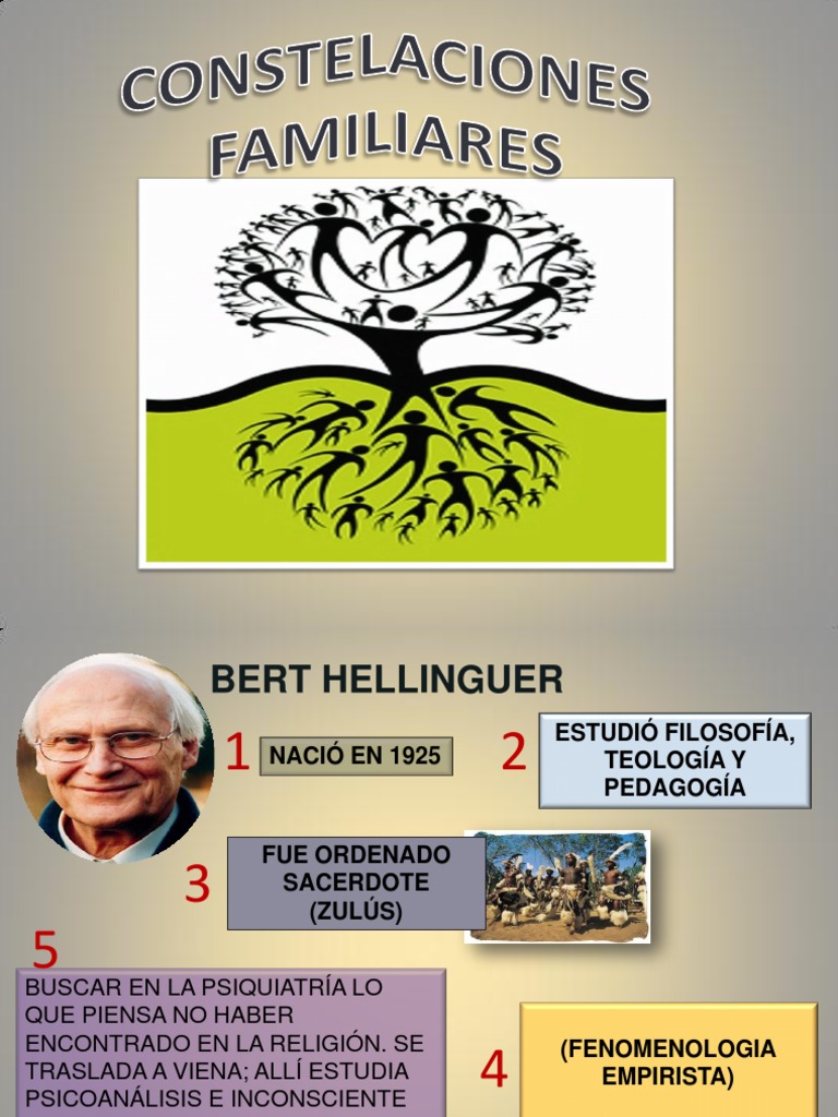 Didactica De Constelaciones Familiares