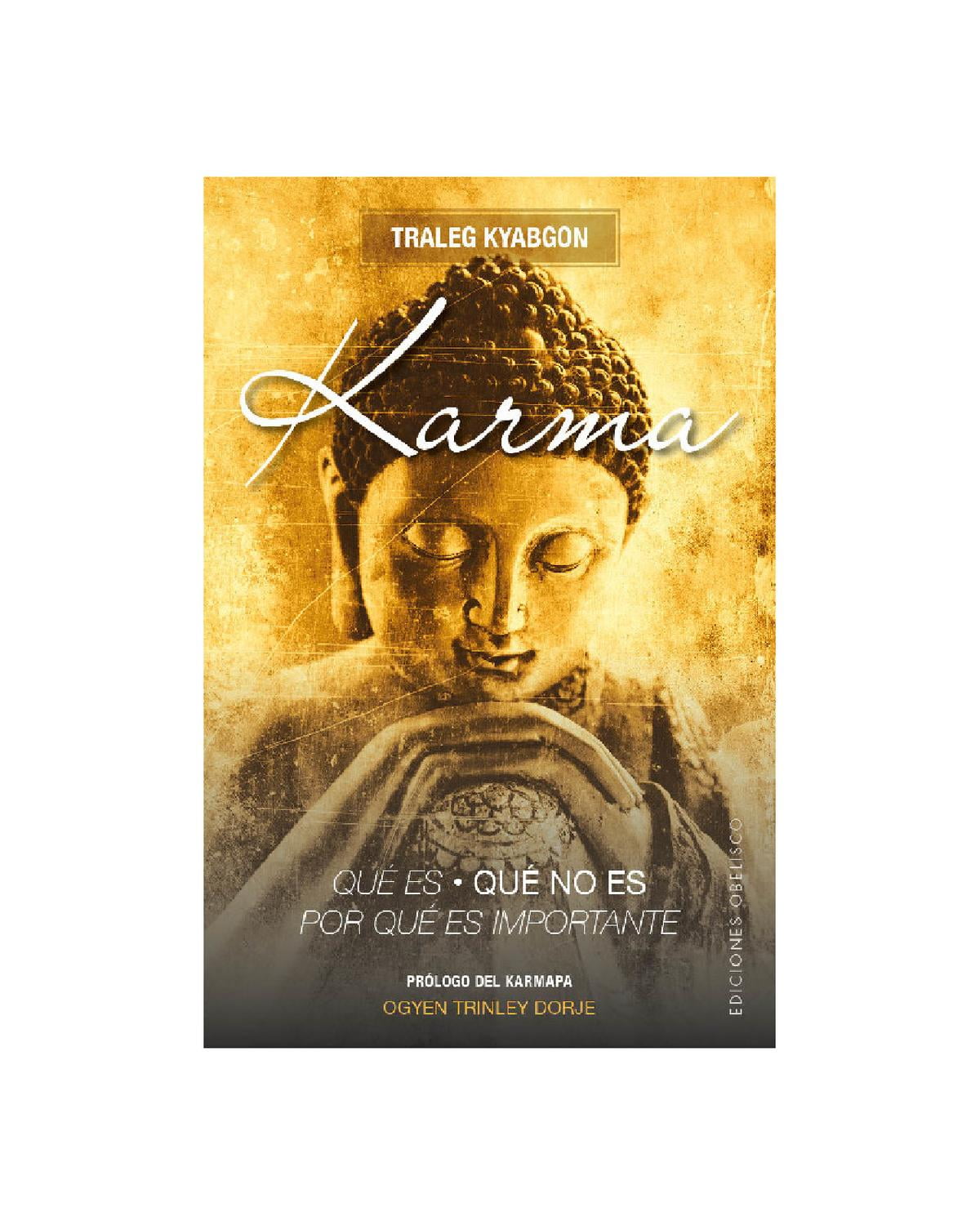 Karma: Que Es, Que No Es, Por Que Es Importante