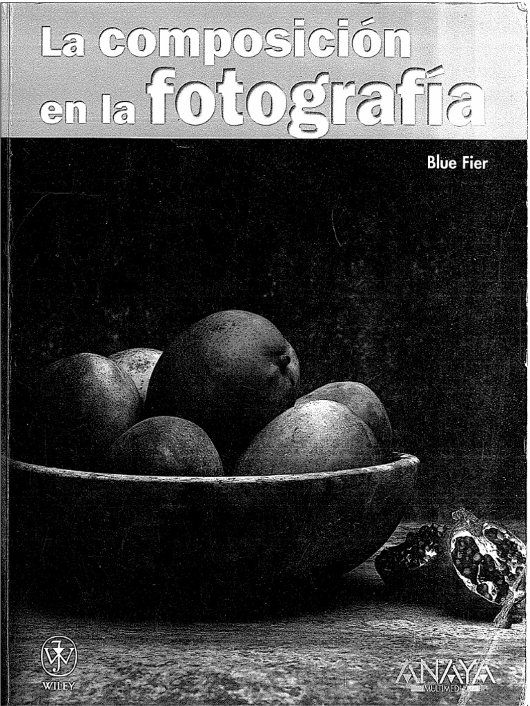 La Composicion En La Fotografia